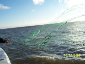 Catching bait fish at Jekyll Island Georgia