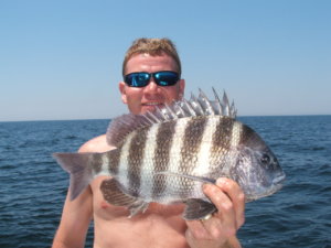 Sheepshead Fishing in Coastal Georgia