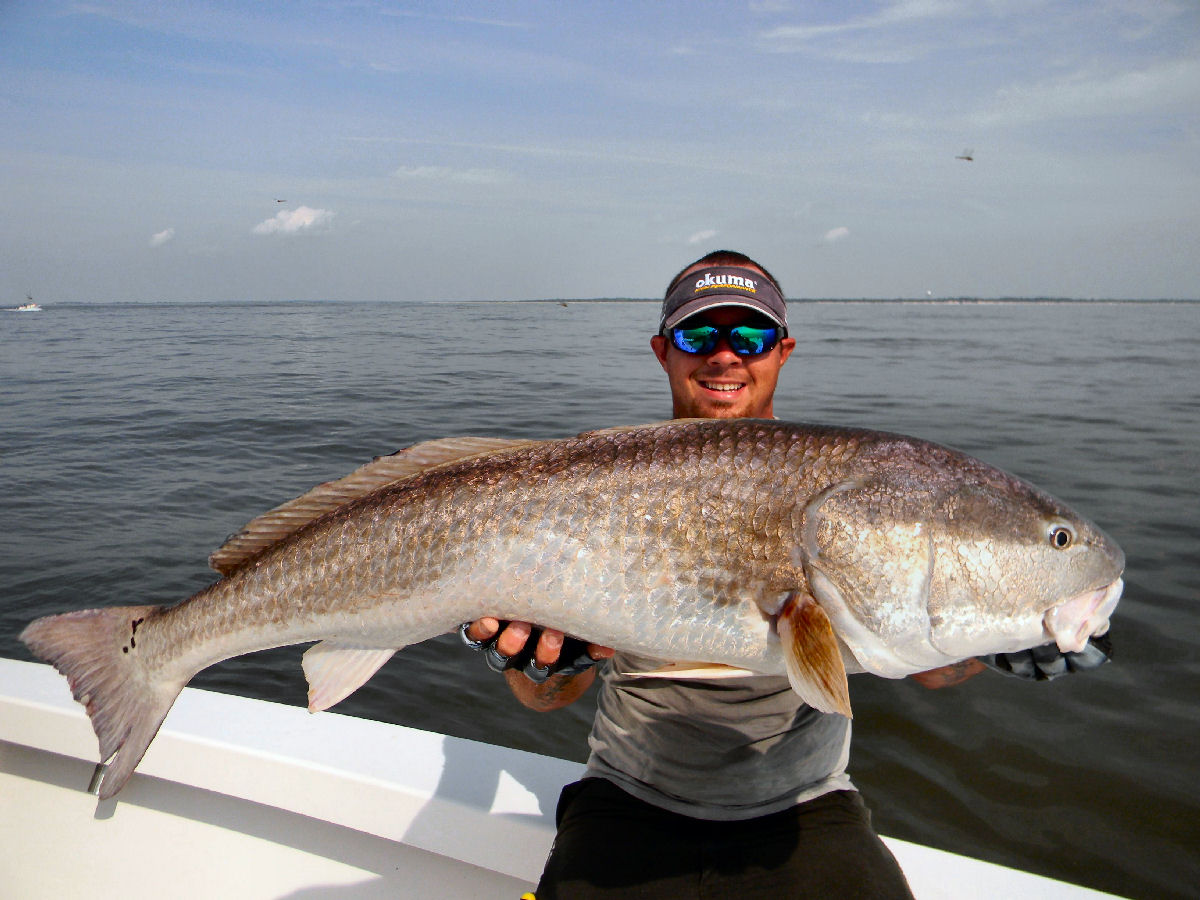 jekyll-island-redfish - Georgia Fishing Charters