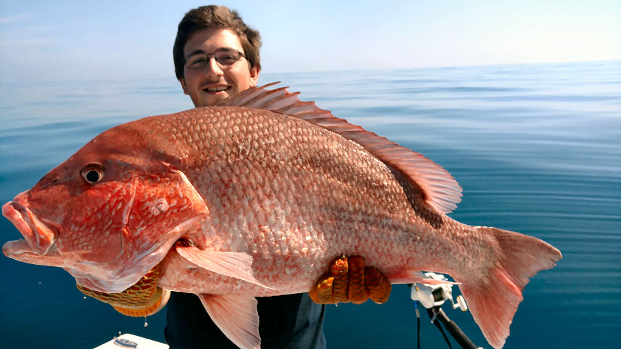 Jekyll Island Fishing Charters Deep Sea Fishing for Red Snapper