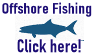 Georgia Offshore Fishing Charters