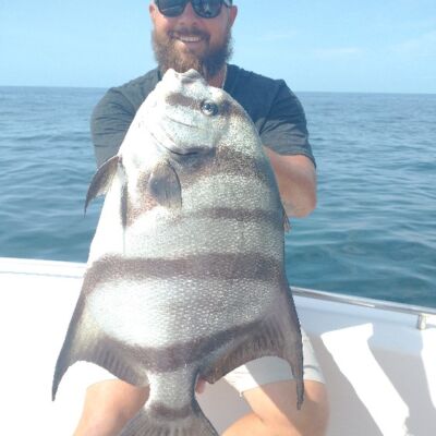 12 pound spadefish