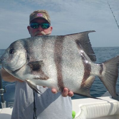 9 pound spadefish