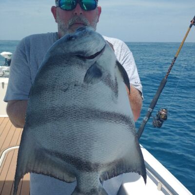 GA state record Spadefish 13.5 pounds
