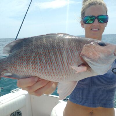 offshore fishing - magrove snapper