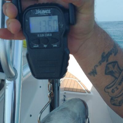 record breaking spadefish in coastal Georgia