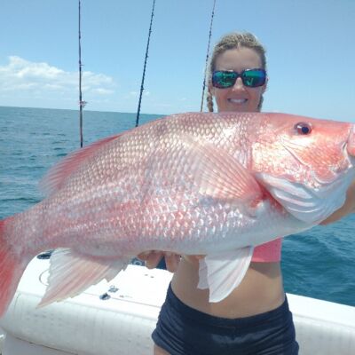 red snapper 17 pounds
