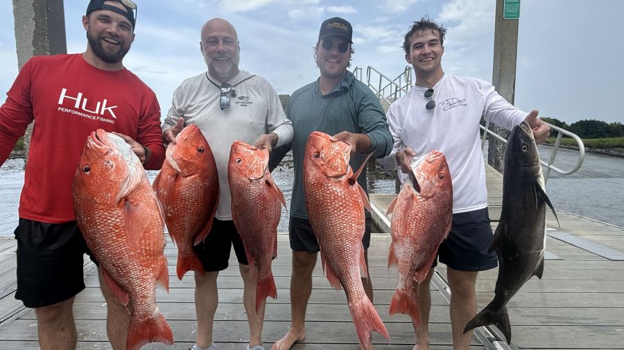 jekyll island deep sea fishing red snapper Jekyll Island Fishing Charters Deep Sea Fishing for Red Snapper