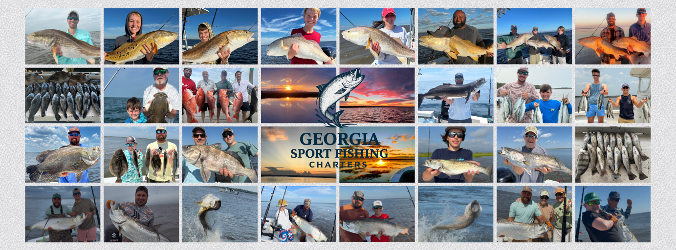 Georgia Sport Fishing Charters Banner